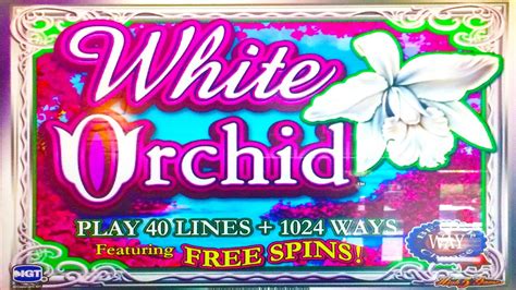 white orchid slots - orchid igt free play